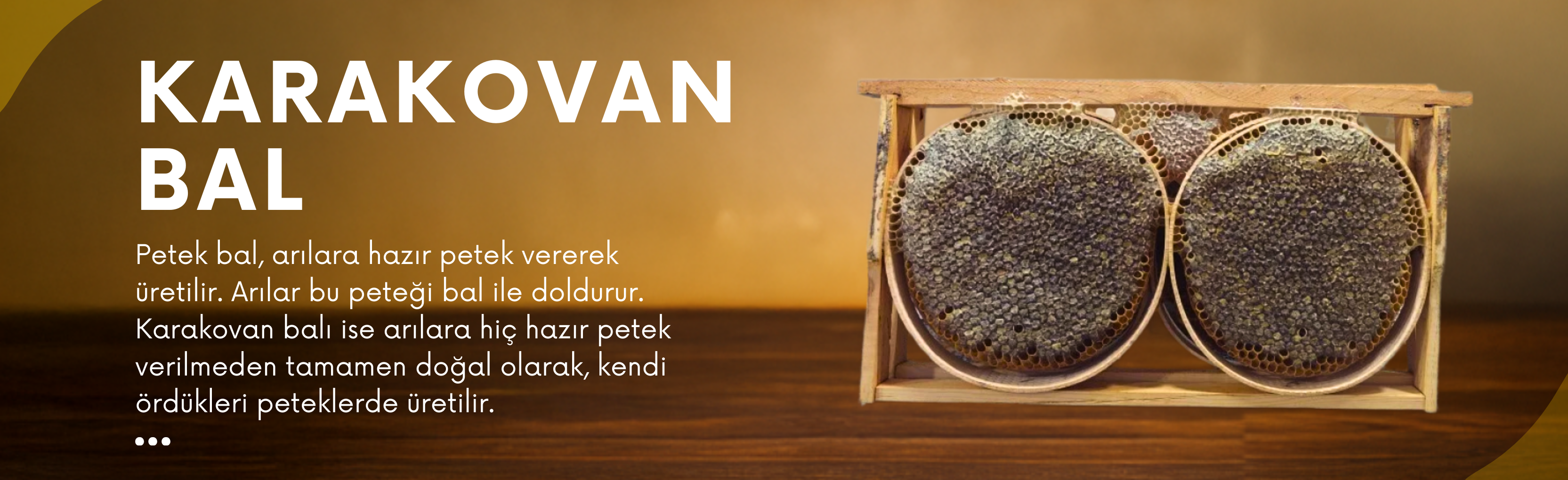 karakovan-bal